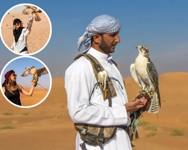 Desert Safari With Falcon Show Experince